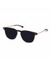 POLARIZED SUN DINO TORTOISE CLASSIC